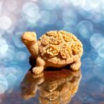 Διακοσμητικό κερί χελώνα